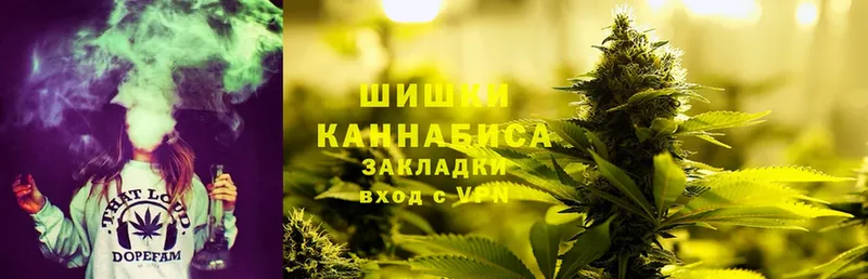 Бошки марихуана OG Kush  цена   Новоалександровск 